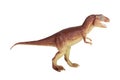 Tyrannosaurus Royalty Free Stock Photo