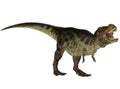 Tyrannosaurus Royalty Free Stock Photo