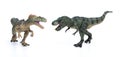 Tyrannosaurus and allosaurus toy on white background