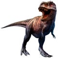 Tyrannosaurus Royalty Free Stock Photo