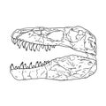 Tyrannosaurus fossilized skull hand drawn sketch image. Carnivorous reptile dinosaur fossil illustration drawing. Vector stock Royalty Free Stock Photo