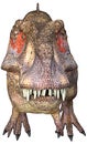 Tyrannosaurus frontal face