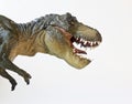 A Tyrannosaurus Hunts on a White Background Royalty Free Stock Photo