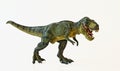 A Tyrannosaurus Hunts on a White Background Royalty Free Stock Photo