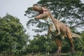 Tyrannosaurus - prehistoric era dinosaur