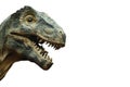 Tyrannosaurus rex and blank area at right side . Isolated