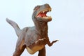 A Tyrannosaurus Rex Dinosaur Royalty Free Stock Photo