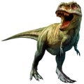 Tyrannosaurus rex dinosaur from the Cretaceous era 3D illustration Royalty Free Stock Photo