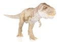 Tyrannosaurus Rex, Dinosaur on white background Royalty Free Stock Photo