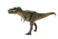 Tyrannosaurus rex dinosaurs toy green isolated