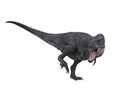 Tyrannosaurus Rex dinosuar in aggressive pose standing on one leg. 3D illustration isolated on white background