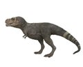 Tyrannosaurus Rex dinosuar walking, side view. 3D illustration isolated on white background