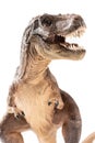 Tyrannosaurus Rex figurine on white Royalty Free Stock Photo