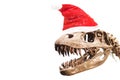 Tyrannosaurus Rex head with blank thought ballon on white isolated background with copyspace. Royalty Free Stock Photo