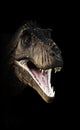 A Tyrannosaurus Rex head piercing through the darkness. Royalty Free Stock Photo