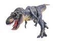 Tyrannosaurus Rex Royalty Free Stock Photo