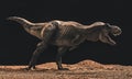 Tyrannosaurus rex isolated black background