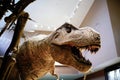 The tyrannosaurus rex model in the Shanghai nature museum