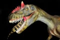 Tyrannosaurus rex eat another dinosaur