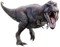 Tyrannosaurus rex roaring 3D illustration Royalty Free Stock Photo