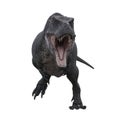 Tyrannosaurus Rex runing towards the camera aggressively with mouth open, 3D illustration isolated on white background