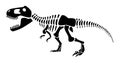 Tyrannosaurus Rex skeleton . Silhouette dinosaurs . Side view . Vector