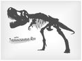 Tyrannosaurus Rex skeleton silhouette on gray gradient background . Vector