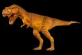 Tyrannosaurus rex T-rex is walking and open mouth . Side view . Black isolated background . Dinosaur in jurassic peroid .