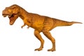 Tyrannosaurus rex T-rex is walking and open mouth . Side view . White isolated background . Dinosaur in jurassic peroid .
