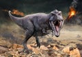 Tyrannosaurus rex scene 3D illustration Royalty Free Stock Photo