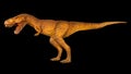 Tyrannosaurus rex is walking and open mouth . Side view . Black isolated background . Dinosaur in jurassic peroid