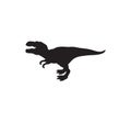 Tyrannosaurus silhouette