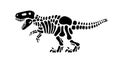 Tyrannosaurus skeleton. Tyrannosaurus fossil body parts. T-rex bones. Dangerous ancient predator. Jurassic raptor