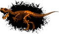 colored Tyrannosaurus skeleton image vector illustration design