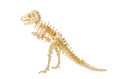 Tyrannosaurus skeleton wooden puzzle toy isolated on white background with clipping path