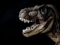 Tyrannosaurus T-rex dinosaur on black background