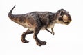 Tyrannosaurus T-rex ,dinosaur on white background Royalty Free Stock Photo