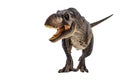 Tyrannosaurus T-rex ,dinosaur on white background Royalty Free Stock Photo