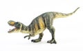 Tyrannosaurus T-rex ,dinosaur on white background Royalty Free Stock Photo