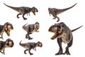 Tyrannosaurus T-rex ,dinosaur on white background Royalty Free Stock Photo