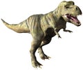 Tyrannosaurus Rex Dinosaur Illustration Isolated