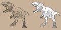 Tyrannosaurus vector, linear, black and white drawing. For coloring books