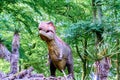 Tyrannosaurus rex 3D model standing up