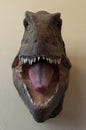 Tyranosaurus Rex Head Royalty Free Stock Photo