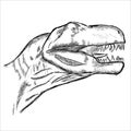 Tyranosaurus Rex head