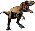 Tyranosaurus rex isolated Royalty Free Stock Photo