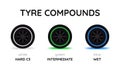 Tyre compounds for the Formula One race - hard, intermediate, wet. Tire types are white, green and blue. Wheel selection