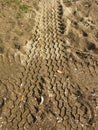 Tyre Mark on the Sands