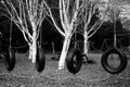 Tyre swings at the playground Royalty Free Stock Photo