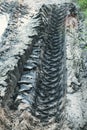 Tyre track on dirt sand or mud Royalty Free Stock Photo